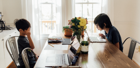 Homeschooling Fernunterricht Kritik