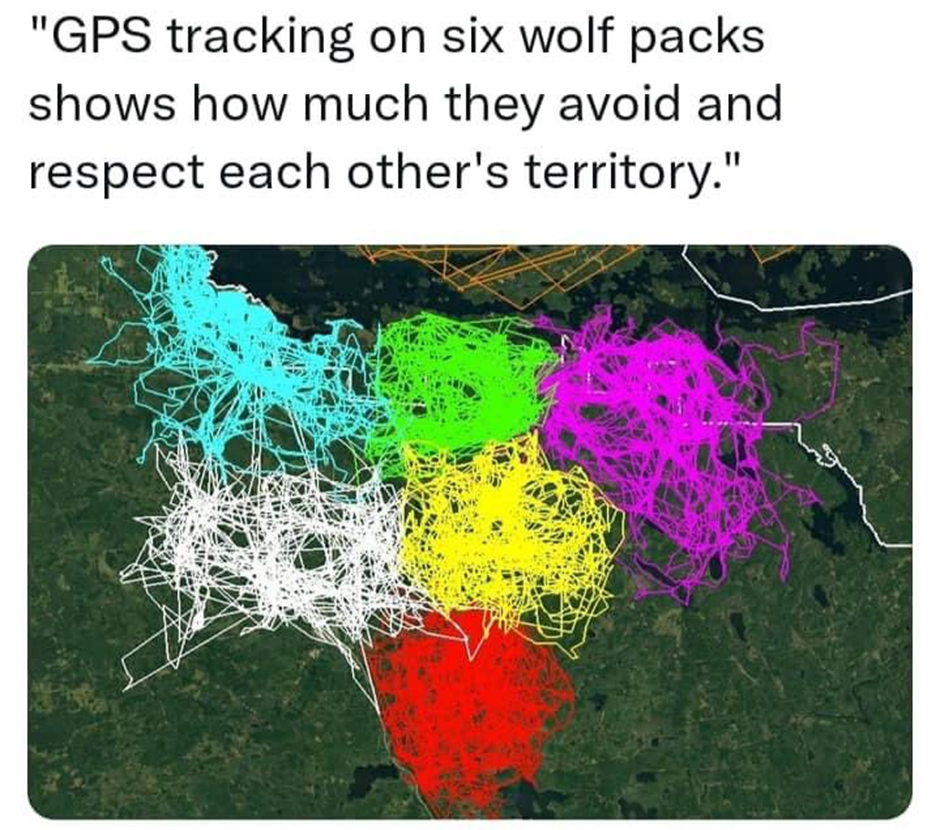 Fortbildung, Professionalisierung und strukturelle Probleme im Kontext von KI und Schule - 10 Vorschläge aus der Praxis 1